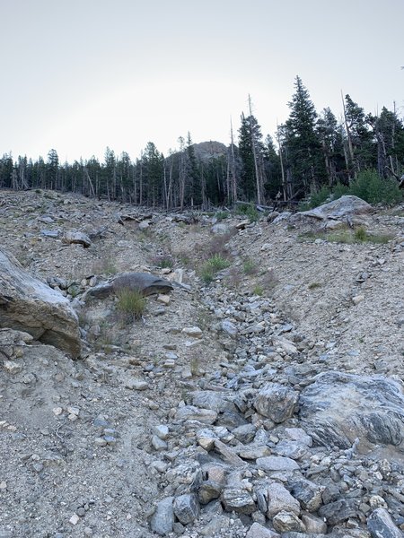 This massive landslide was the result of flooding rains in the summer of 2013. Now it is a natural restoration area.