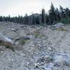 This massive landslide was the result of flooding rains in the summer of 2013. Now it is a natural restoration area.