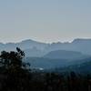 Looking Northeast toward Sedona from the high point of the hike at 7:30 am. Thus, take this hike in the evening.