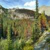 The rugged mountains and valleys that Maligne Pass Trail runs through. Poligne Creek is in the valley below the trail (lower right corner).