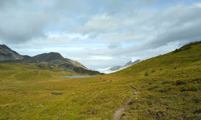 Approaching Maligne Pass from the south. There is a small lake at the pass. Mount Mary Vaux is in the distance (center right) behind the grassy knoll.