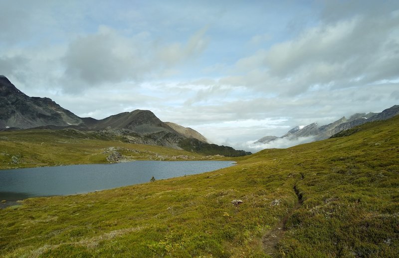 At Maligne Pass, a small lake is passed by Maligne Pass Trail.