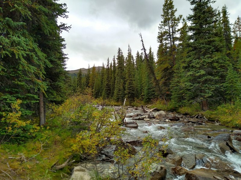 Evelyn Creek, near Maligne Lake, is crossed by Skyline Trail.