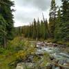 Evelyn Creek, near Maligne Lake, is crossed by Skyline Trail.