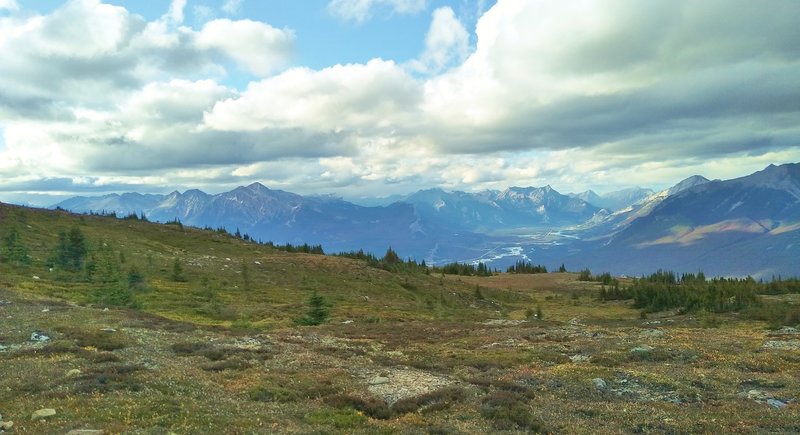 The Athabasca River Valley and distant mountains are seen when looking northwest near Jasper/Signal Mountain, from high on Skyline Trail.
