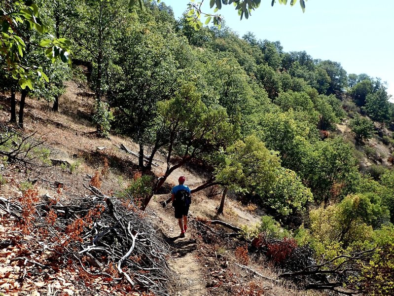 Starting a descent of the Rattlesnake Gulch Trail