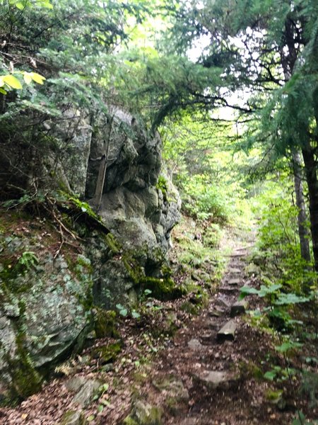 A nice rocky face along the Locator Lake trail just before the ridge.