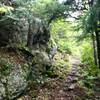 A nice rocky face along the Locator Lake trail just before the ridge.