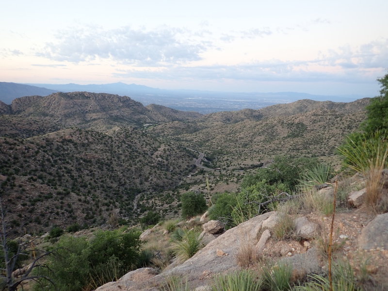 View of Gordon Hirabayashi campground from the Bug Springs portion of AZT Passage 11b