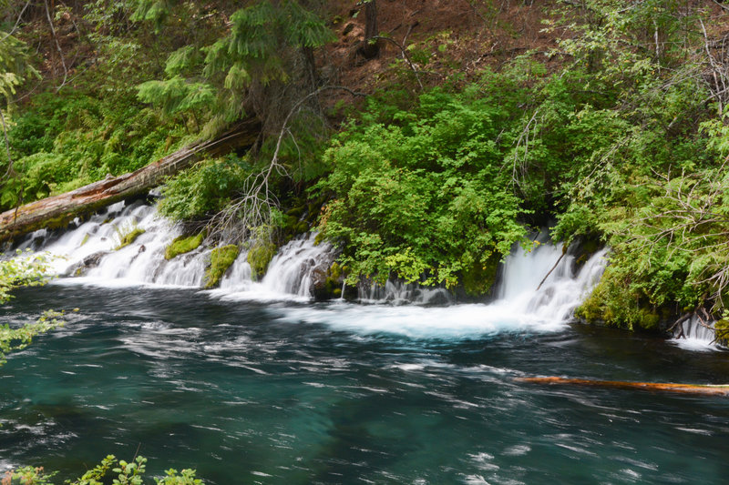 A beautiful natural spring flowing into the river