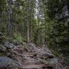 9700' elevation heading south on the trail to Twin Sisters. 07:30 am, September 1, 2019. This shows the typical trail terrain that you may expect the rest of the day.