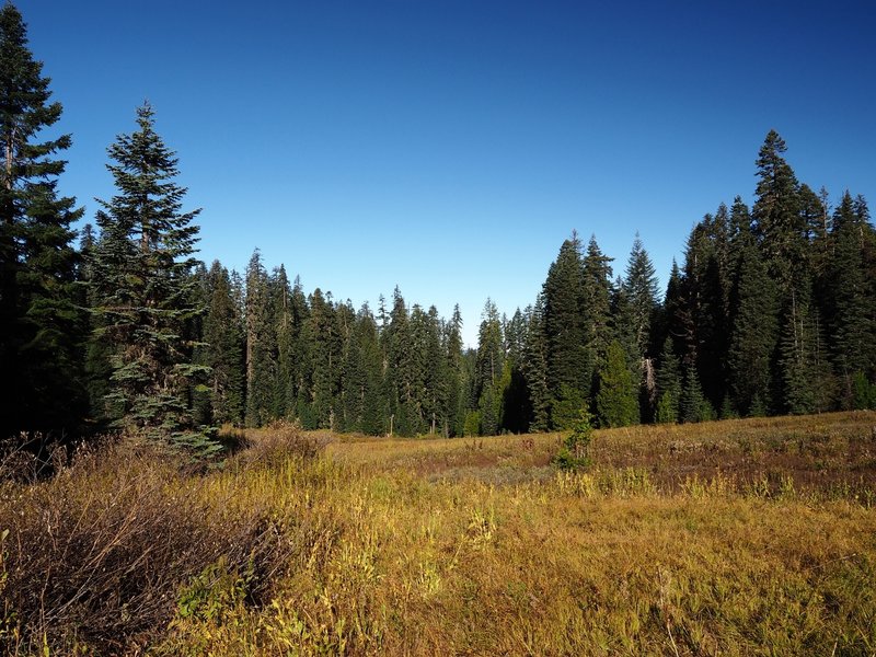 The first meadow in from the eastern trailhead