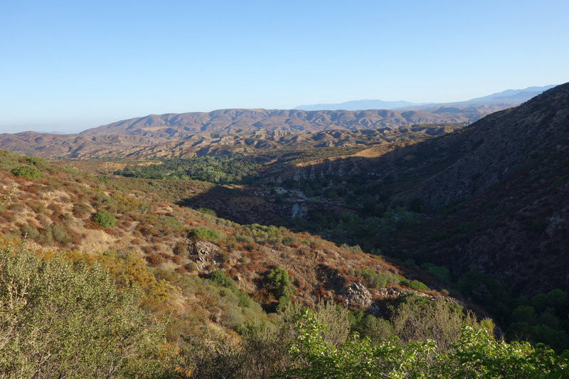 View north from the Wild Horse Trail