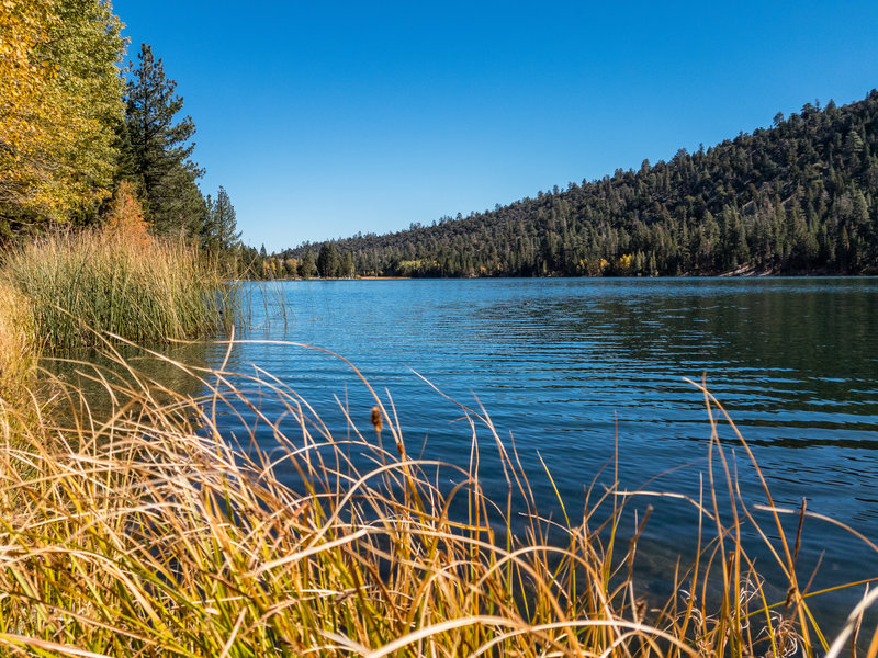 Walker Lake