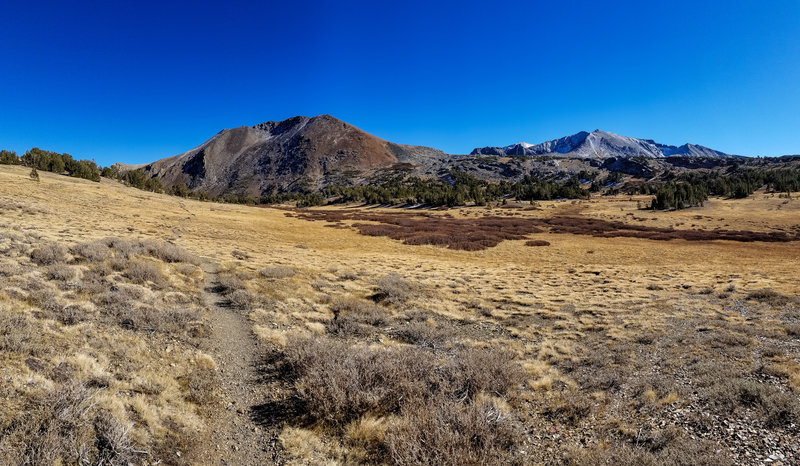 Approaching Mono Pass, looking towards Mount Lewis