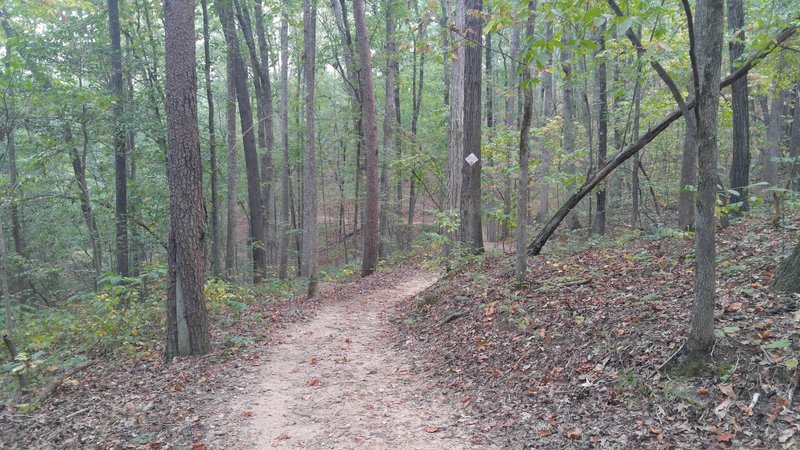 Prison Camp Trail