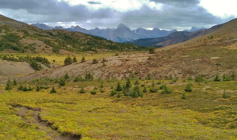 Nearby meadows and distant Queen Elizabeth Range mountains on the far side of Maligne Lake, looking southeast from Little Shovel Pass. From the high peak in the center, going right - Samson Peak, Maligne Mountain, Mt. Paul, Monkhead, and Mt. Warren.