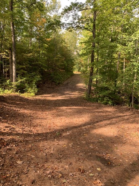 Gorgeous fall trail!