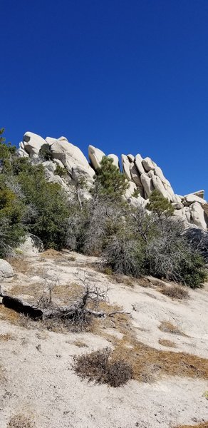 Tons of cool rock on the hike