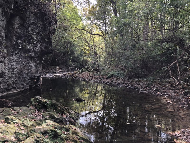 Lower rim facing east on massie creek