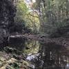 Lower rim facing east on massie creek