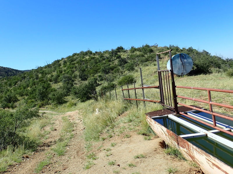 The tank at mile 194.6 on AZT passage 12. The water in the trough was green but there was water dripping from the tank itself.