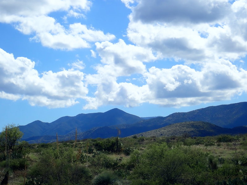 View of Oracle Ridge from Passage 13