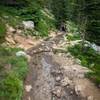 The trail down from Loch Lake.