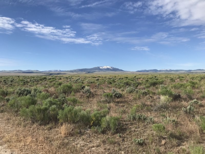 Looking south at the Jarbidge Mountains from the first leg of the Idaho Centennial Trail