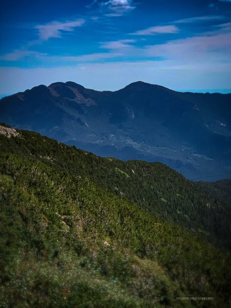 Early afternoon, equal elevation view of Twin Sisters Peaks, looking east from Chasm Lake Trail.