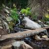 The footbridge across Alpine Brook, just below tree line and an awesome rest spot to listen as water cascades down. On the way up in darkness this is a great marker of progress along the trail, well defined and maintained.