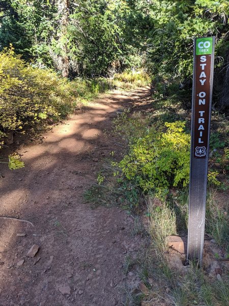 Marker about 200-yards down un-marker link trail