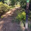 Marker about 200-yards down un-marker link trail