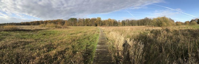 path through the heath