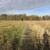 path through the heath