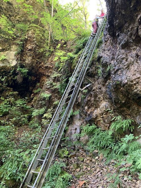 The 30ft ladder on the trail.