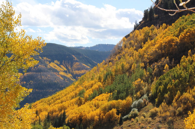 Unbelievable fall colors