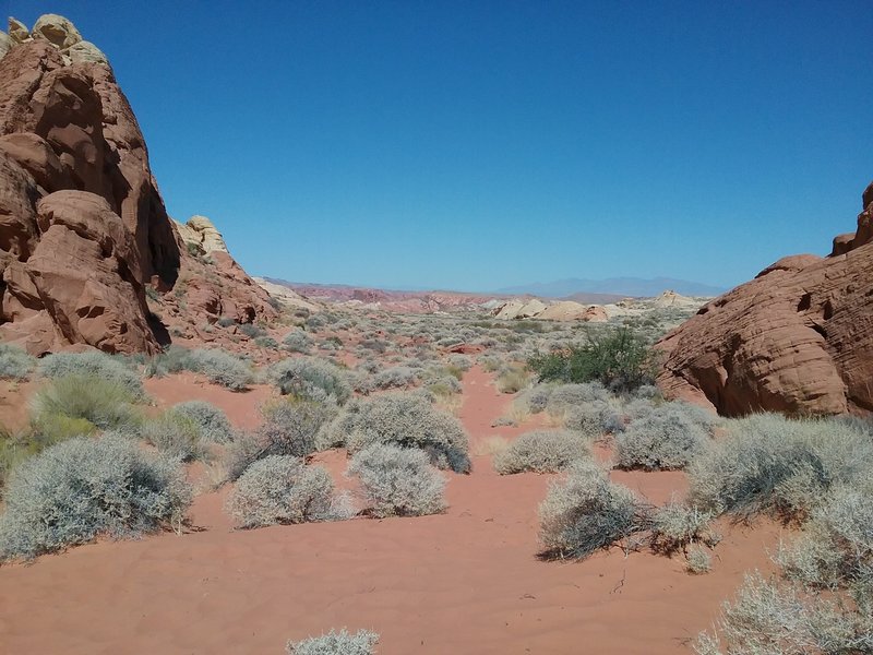 Looking west from the trail