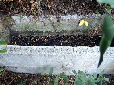 Mud Springs alongside Palisades #99 trail