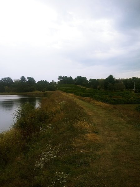 Island Lake at Dawes Arboretum