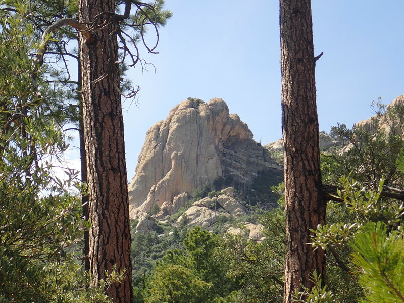 A view from the bottom of the Lemmon Rock #12 trail near the junction of #44 and #12