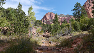 Taylor Creek Trail
