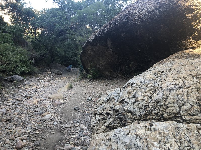 Kids love climbing these boulders