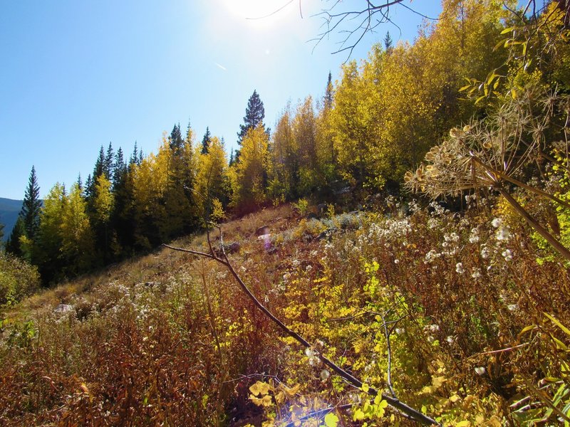 late fall colors