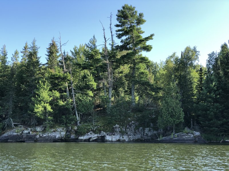 Another shoreline spot on Kabetogama lake.