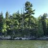 Another shoreline spot on Kabetogama lake.