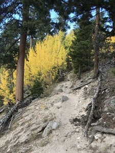 Nice contrast, this is about where the fall color stops, the rest is mostly evergreen.