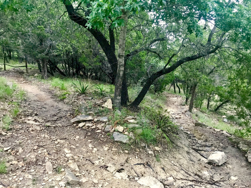 Pavillon to Lake Loop Connector Trail