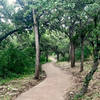 Lake Loop Trail