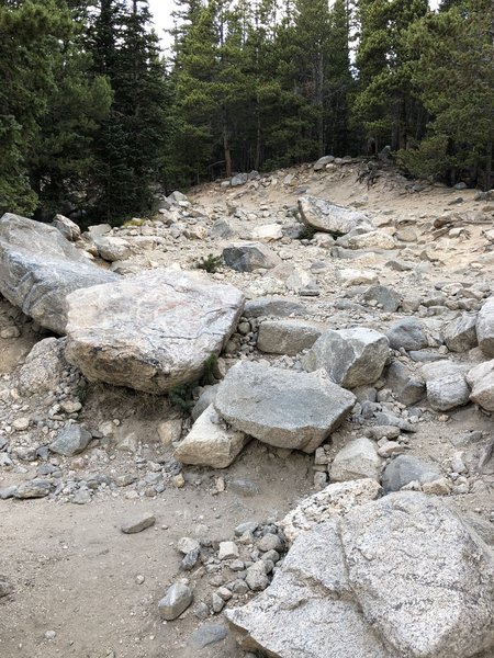 Rocky Trail leading up to St. Mary's Glacier Lake